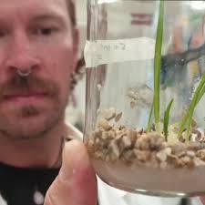 Fundraiser by Brendan Janissen : Help Brendan save Australia's orchids