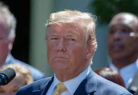 President Donald Trump Tweetstorm