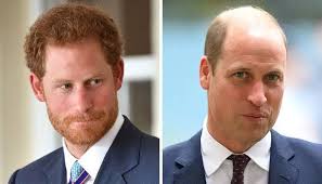Who should be the next King, Prince William or Prince Harry?
