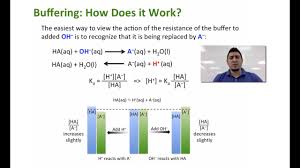 Ph = kₐ + log ( a⁻/ ha) ka is the acid dissociation constant. How Do You Calculate Pka Using The Henderson Hasselbalch Equation Socratic