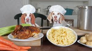 Chef Dogs Cook Chicken Noodle Soup Funny Dogs Maymo Potpie Youtube