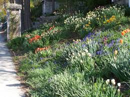 Une rocaille réussie associe plantes et minéral avec un effet naturel et spontané. Vegetalisation De Talus Plantes Adaptees Plantation Baches