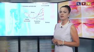 Îmbolnăvirea cu zona zoster poate fi prevenită prin două modalități, cu o eficacitate de peste 90%: Zona Zoster Este Contagioasa Dar Nu In Modul Clasic Litoral Tv Youtube