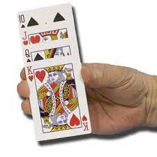 There are many different games within the genre, including favorites like euchre, spades, and hearts. Crazy Cards Magic Trick Fast Shipping Magictricks Com