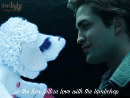 Please explain…🙄🙄🙄