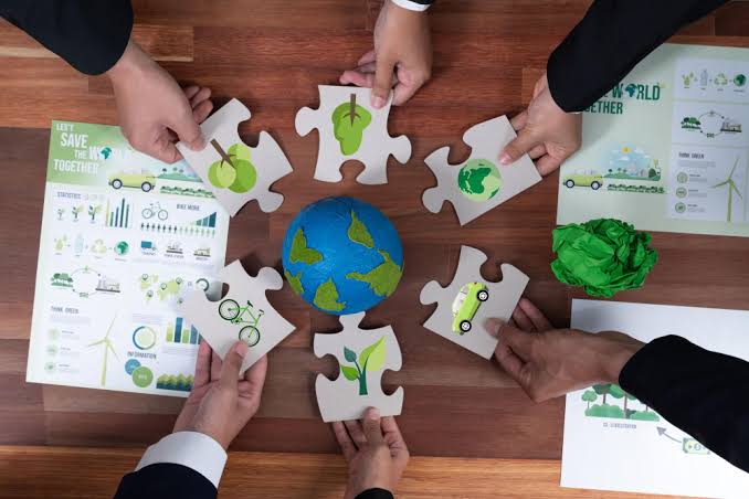 Collaborative Partnerships for Sustainability: The Role of Businesses, NGOs,  and Government - One More Tree Foundation