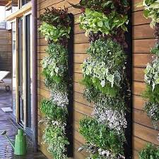 22 Space Saving Ideas For Green Walls And Vertical Garden Design Vertical Garden Large Vertical Garden Vertical Herb Garden