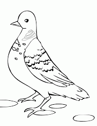 Dinosaur coloring page detective pikachu coloring sheets detailed christmas colouring pages dessin aquarelle mode digital coloring pages png dinosaur bone coloring page detailed fairy coloring pages for adults dessiner avec des crayons aquarelle. Turtle Doves Coloring Pages Coloring Home