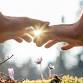 Healing with Plants Workshop, Nov. 2025 event image