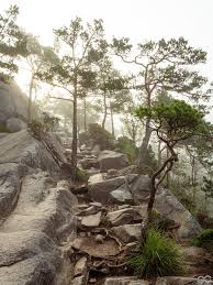 Die beste wahl für sie. Preikestolen Moosearound