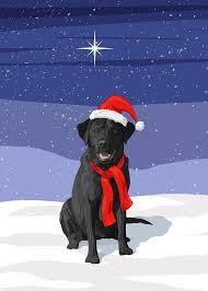 Choose between a variety of paper finishes and sizes. Christmas Dog Black Labrador Retriever Digital Art By Crista Forest