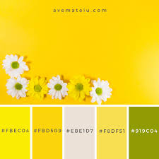 The sky blue color palette that has a nordic white to accompany. White And Yellow Blooming Flowers Color Palette 238 Ave Mateiu