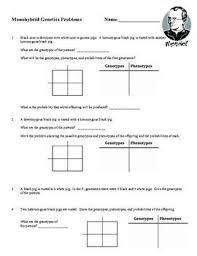 Predict the genotypic and phenotypic outcome. Monohybrid Punnett Square Worksheet Printable And Digital Genetics Practice Problems Biology Worksheet Life Science Lessons