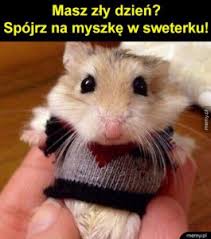 See more ideas about memy, zabawne memy, śmieszne memy. 10 Rodzajow Tresci Wizualnej Czesc 4