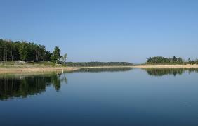 Rocky mountain elk foundation wildlife leadership awards: Enjoy A Relaxing Weekend Getaway To Lake Norfork
