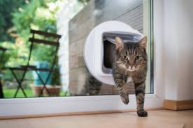 Garten Katzensicher Machen So Funktioniert Es Richtig In 2020 Katzentur Katzen Katzenklappe