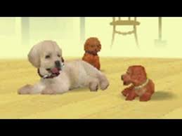 For all the games, you will eventually be able to unlock all 18 breeds, . My Nintendogs In Lab And Friends Youtube