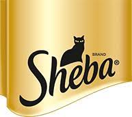 We did not find results for: Unbiased Sheba Cat Food Review 2021 All About Cats