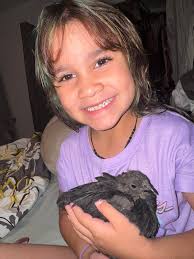 Is this a cemani ?? I bought so many chicks I can't remember what is what