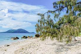 Mad Monkey Why You Need To Visit Fitzroy Island