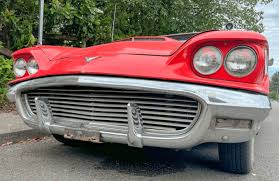 Image result for Tahitian Bronze 1959 Thunderbird
