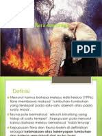 Pelbagai khazanah bumi terpaksa di korbankan. Kepupusan Flora Dan Fauna