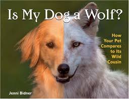 They (not/ come) home until very late. Is My Dog A Wolf How Your Pet Compares To Its Wild Cousin Bidner Jenni 9781579907327 Amazon Com Books