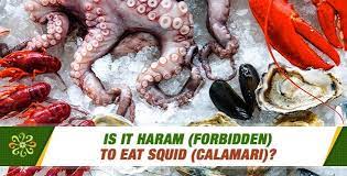 Anyone tell me octopus is halal or haram. Is It Haram Forbidden To Eat Squid Questions On Islam ÙÛØ³Ø¨ÙˆÚ©