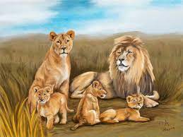 This Item Is Unavailable Lion Family Animals Lion Pictures