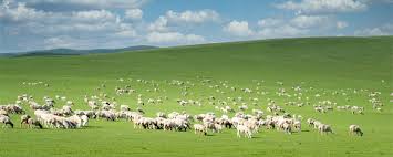 呼伦贝尔大草原在什么地方有关呼伦贝尔草原的传说故事- 天气加