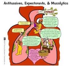Respiratory Drugs Nursing Pinterest Nursing Mnemonics Pharmacology Nursing And Nursing Students