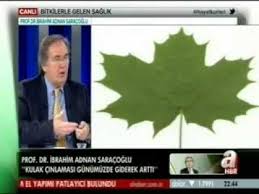Cinar Yapragi Faydalari Cinar Yapraginin Kullanimi Neye Iyi Gelir Ibrahim Saracoglu Youtube Youtube Natural Medicine Medicine