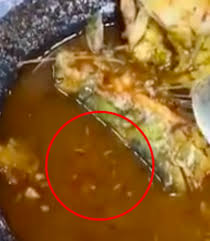 Di sini disediakan senarai makanan yang anda patut cuba ketika berada di sana. Kedai Asam Pedas Popular Di Melaka Hidang Makanan Berulat Online News