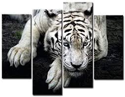 White tigers need plenty of space Amazon Com Black And White White Tiger Lie On Rock Wall Art Painting Pictures Print On Canvas Animal The Picture For Home Modern Decoration Posters Prints
