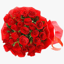 We did not find results for: Send Anniversary Flowers To India Online Anniversary Flowers Delivery In India Florist In India Flora Zone