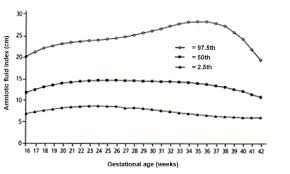 Intrauterine Growth Restriction Identification And