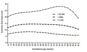 intrauterine growth restriction identification and