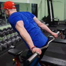 Make sure you can contract the abs to keep your back from arching. How To Train All 3 Heads Of Triceps W Weights Vahva Fitness