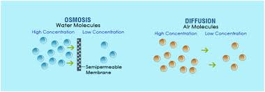 Diffusion Osmosis Difference Between Diffusion Osmosis