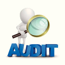 Resultado de imagen para QUE ES UNA AUDITORIA