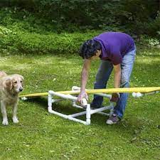 How To Build A Diy Dog Agility Course Dog Agility Course Diy Dog Agility Course Dog Agility