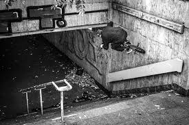 Is to provide healthy, stimulating, and inclusive environments for individuals with intellectual and developmental disabilities through community residences, employment services, innovative day programs, social opportunities and related support services designed to help them achieve their full potential for living meaningful and productive lives. Gallery Our House Roadtrip 2020 Freedombmx