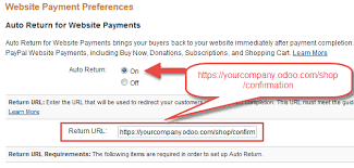Configure Your Paypal Account Odoo 14 0 Documentation