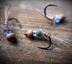 Image result for Copper Chestnut 2012 Cygnet