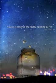 Lightning Bug Quotes Quotesgram