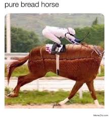 Pure Bread Dog Meme Memezila Com