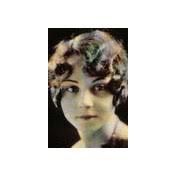 Postlewaite Family Obituaries