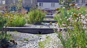 Jardin De L Eveche Coloco Jardin De Lluvia Jardines Paisajismo