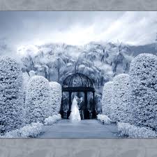 Maybe you would like to learn more about one of these? Brads Creative Images Top Wedding Photographer Near Me