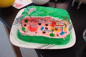 Maybe you would like to learn more about one of these? 10 Animal And Plant Cells 3d Ideas Plant Cell Cells Project Animal Cell Project
